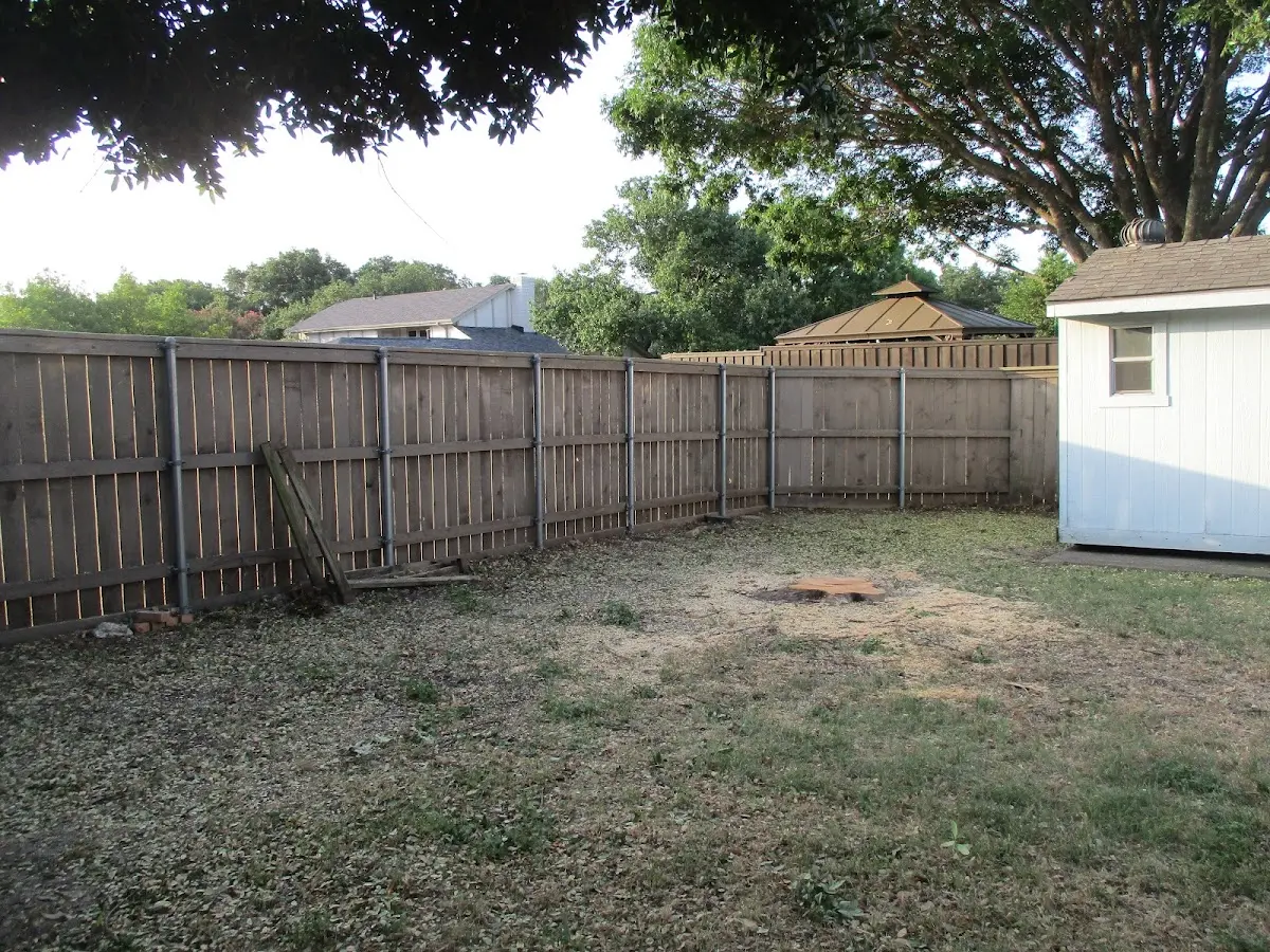 Cleared yard after professional tree removal in Lyle